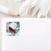 Snowy Cardinaal Etiket (Insitu)