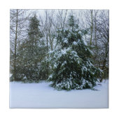 Snowy Cedars Tegeltje (Voorkant)