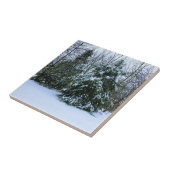 Snowy Cedars Tegeltje (Zijkant)