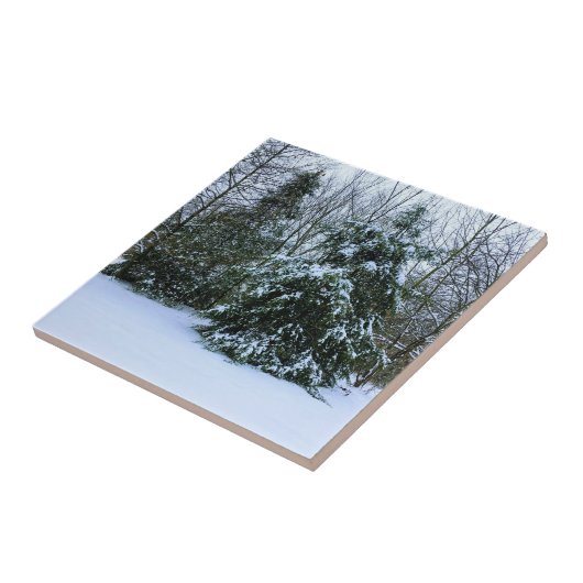 Snowy Cedars Tegeltje (Zijkant)