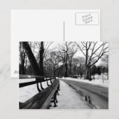 Snowy Central Park Briefkaart (Voorkant / Achterkant)