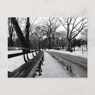 Snowy Central Park Briefkaart