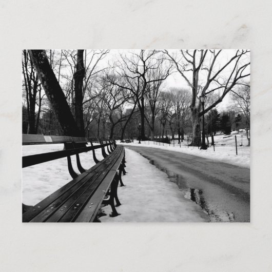 Snowy Central Park Briefkaart (Voorkant)