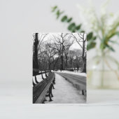 Snowy Central Park Briefkaart (Staand voorkant)