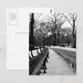 Snowy Central Park Briefkaart (Voorkant / Achterkant)