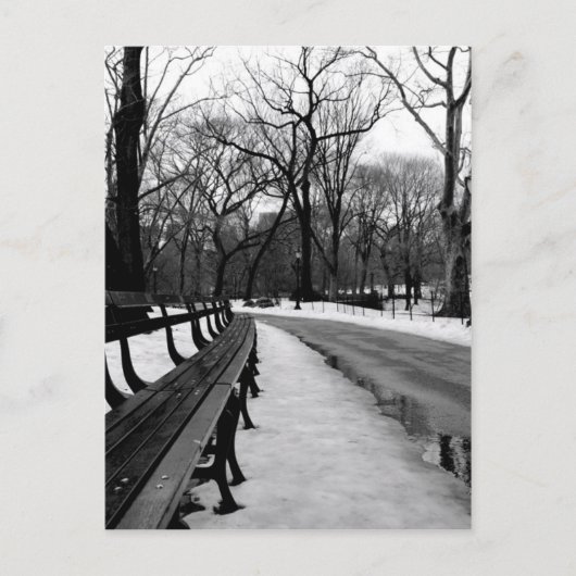 Snowy Central Park Briefkaart (Voorkant)