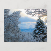 Snowy Colorado Briefkaart (Voorkant)