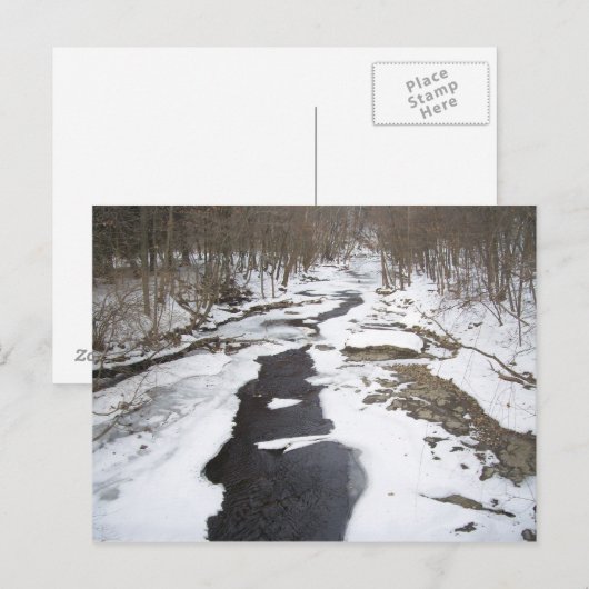 Snowy Creek Briefkaart (Voorkant / Achterkant)