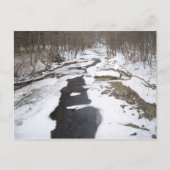 Snowy Creek Briefkaart (Voorkant)