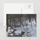 Snowy creek briefkaart (Voorkant / Achterkant)