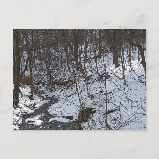 Snowy creek briefkaart (Voorkant)