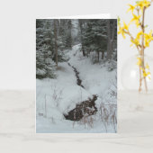 Snowy Creek Kaart (Gele Bloem)