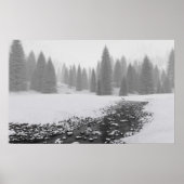Snowy Creek Poster (Voorkant)