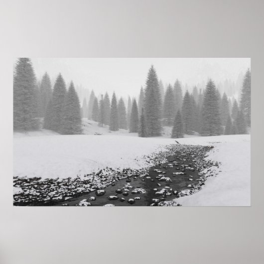 Snowy Creek Poster (Voorkant)