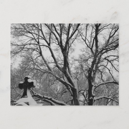 Snowy Cross Briefkaart (Voorkant)