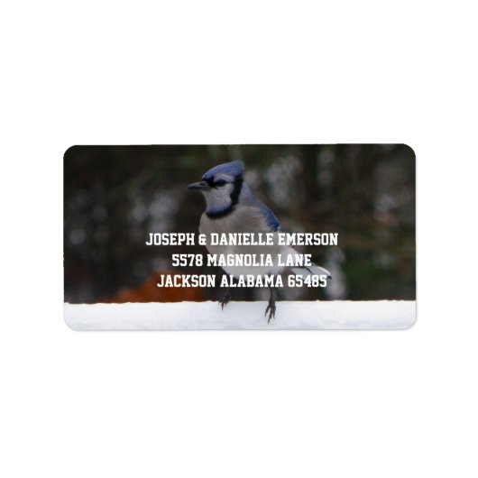 Snowy Day Blue Jay Adresetiketten Etiket (Voorkant)