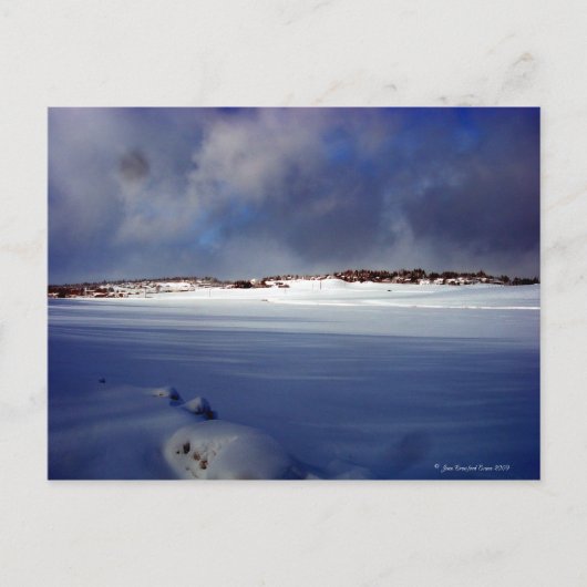 Snowy Day Briefkaart (Voorkant)