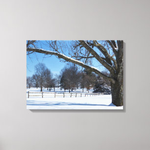 Snowy Day Canvas Afdruk