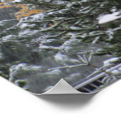 Snowy Day in Whistler, BC Poster (Hoek)