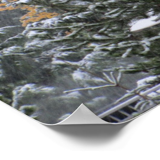 Snowy Day in Whistler, BC Poster (Hoek)