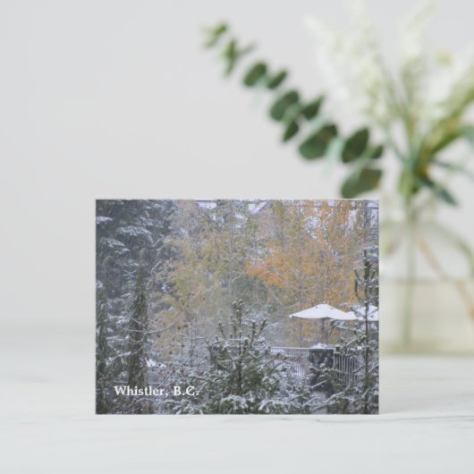 Snowy Day in Whistler BV. Briefkaart (Staand voorkant)