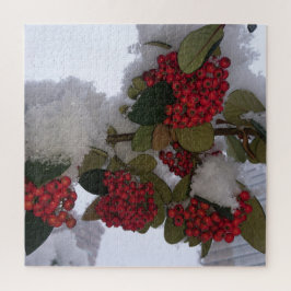 Snowy Days puzzel
