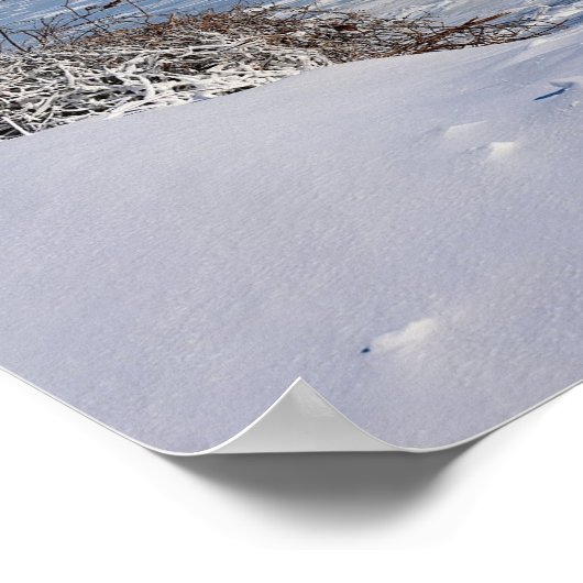 Snowy Delaware River Poster (Hoek)