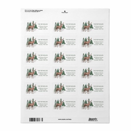 Snowy dennenbomen, Reindeer Return Address Label (Full Sheet)