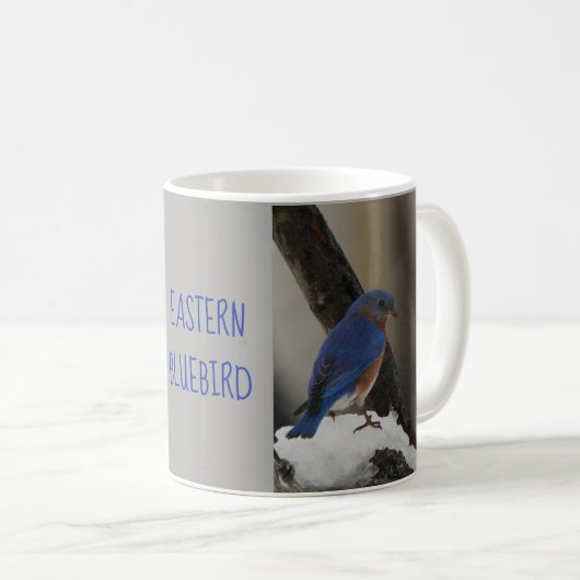 Snowy Eastern Bluebird Mok (Voorkant rechts)