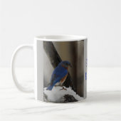 Snowy Eastern Bluebird Mok (Links)