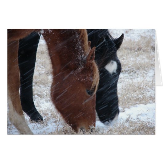 Snowy Eats (Voorkant Horizontaal)