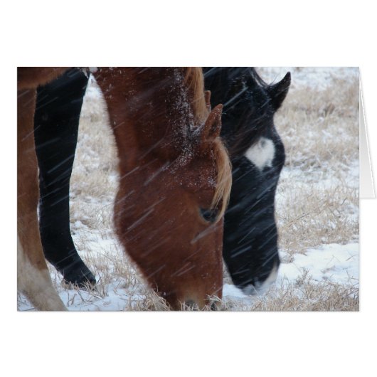 Snowy Eats, Birthday (Voorkant Horizontaal)