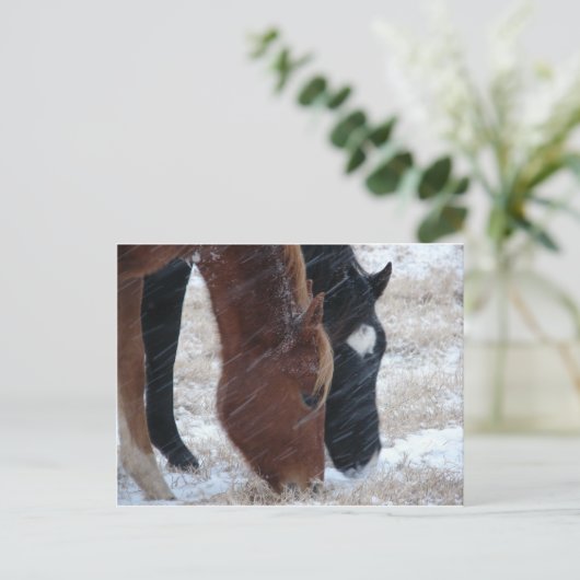 Snowy Eats Briefkaart (Staand voorkant)