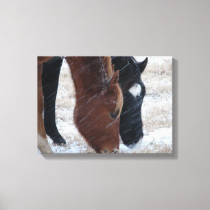 Snowy Eats Canvas Afdruk