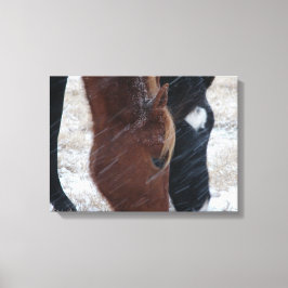 Snowy Eats Canvas Afdruk