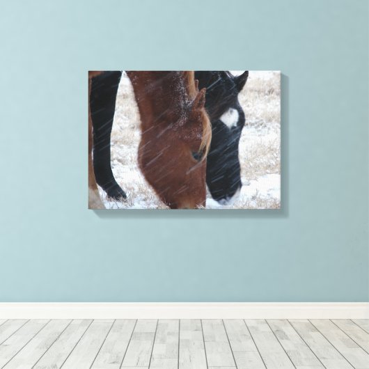 Snowy Eats Canvas Afdruk (Insitu (Houten vloer))