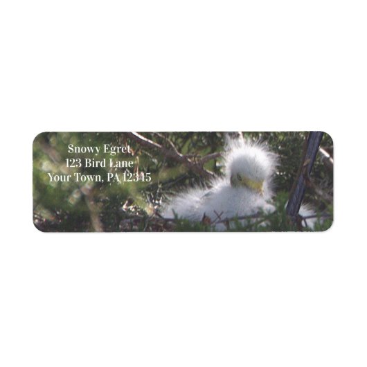 Snowy Egret Baby Bird Label (Voorkant)