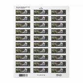 Snowy Egret Baby Bird Label (Full Sheet)