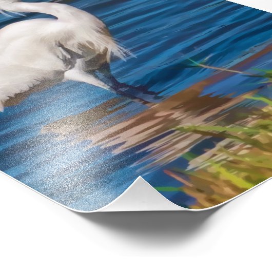 Snowy Egret bij de Pond Foto Afdruk (Hoek)