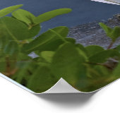 Snowy Egret bij Marsh Poster (Hoek)