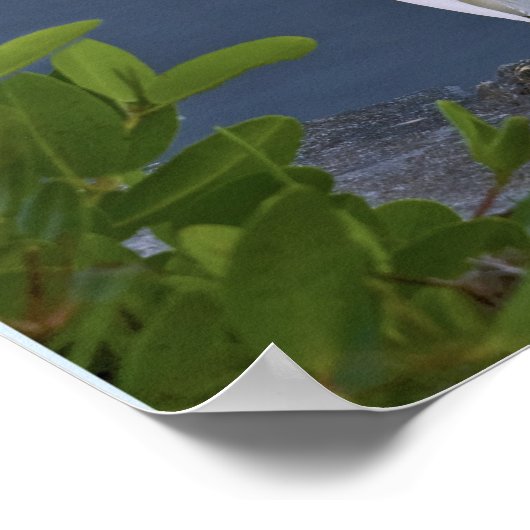 Snowy Egret bij Marsh Poster (Hoek)