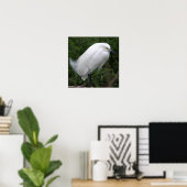Snowy Egret Bird Foto Poster (Thuiskantoor)