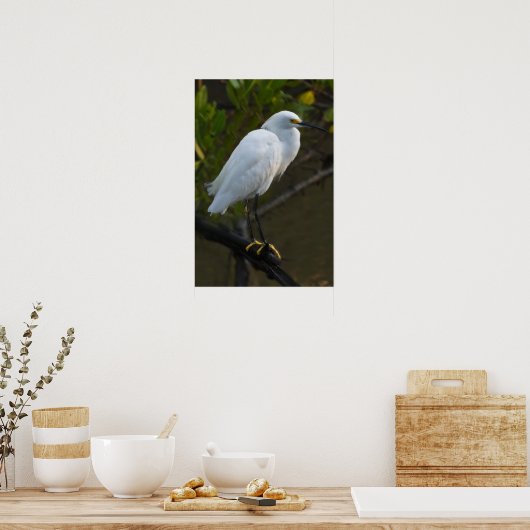 Snowy Egret Bird Poster (Keuken)