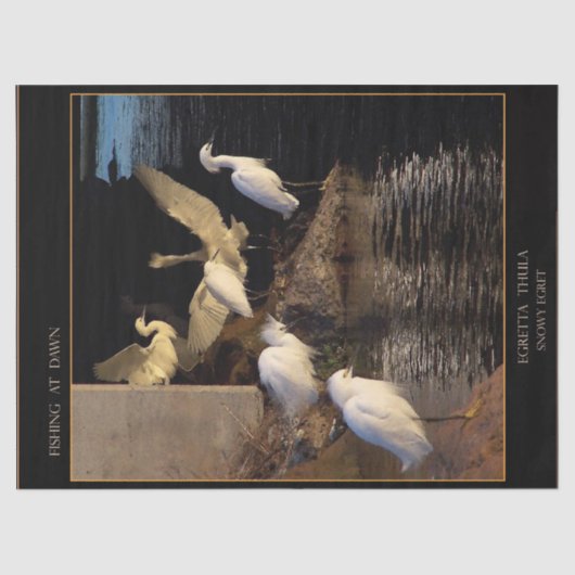 Snowy Egret Birds Wetlands Dawn Weefpapier Tissuepapier (Voorkant)