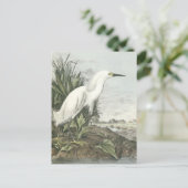 Snowy Egret Briefkaart (Staand voorkant)