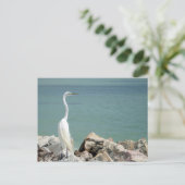 Snowy Egret Briefkaart (Staand voorkant)