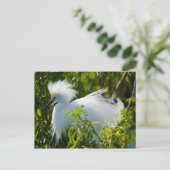 Snowy Egret Briefkaart (Staand voorkant)