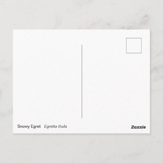 Snowy Egret Briefkaart (Achterkant)