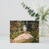 Snowy Egret Briefkaart (Staand voorkant)