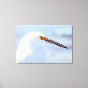 Snowy Egret Canvas Afdruk